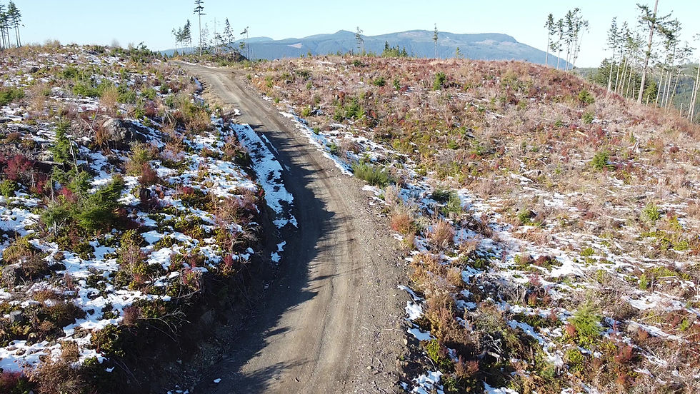 North Cowichan citizens urged to support conservation in latest consultation on Municipal Forest Reserve