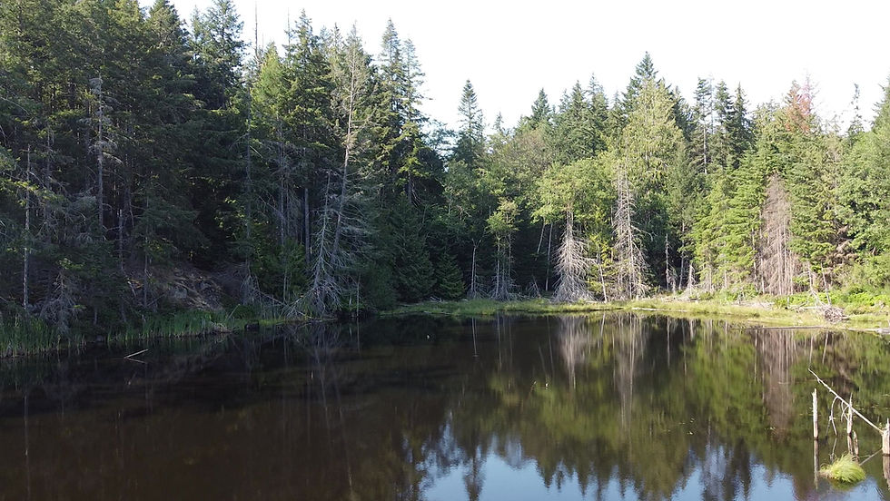Drone video reveals the ‘secret’ of North Cowichan’s Maple Mountain