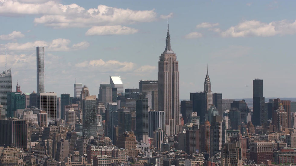 North Cowichan to review low penalties for tree poaching