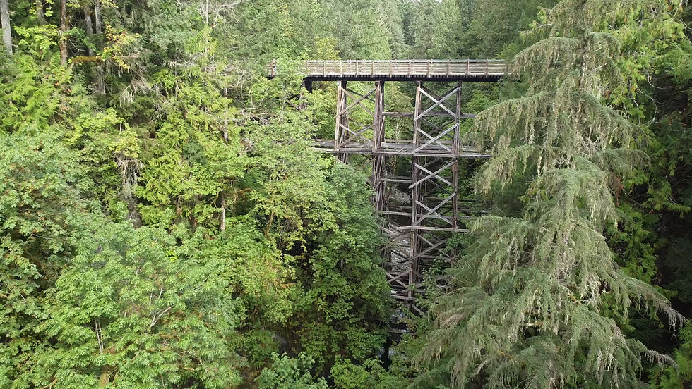 BC awards contract for demolition of Holt Creek Trestle one day before election writs issued