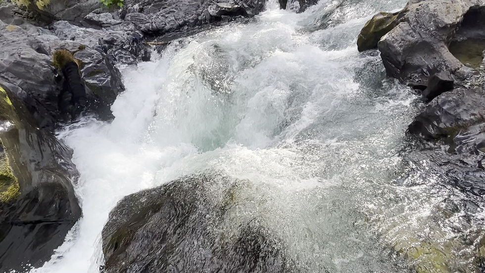 Cowichan named Vancouver Island’s most dangerous river