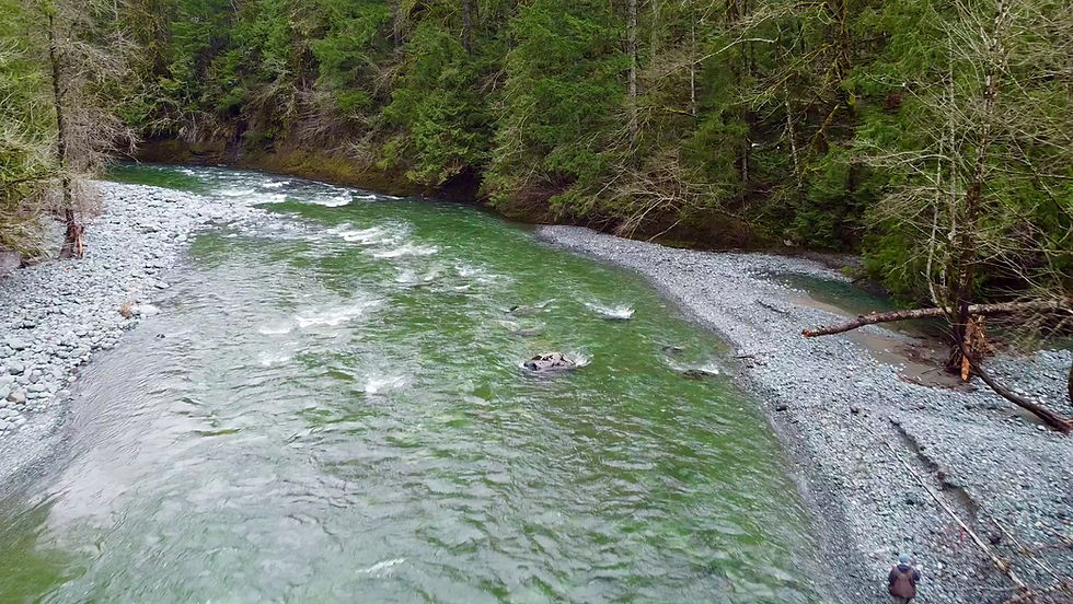 North Cowichan’s Municipal Forest Reserve extends beyond the Six Mountains